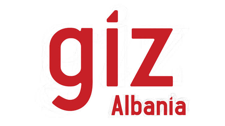 GIZ logo